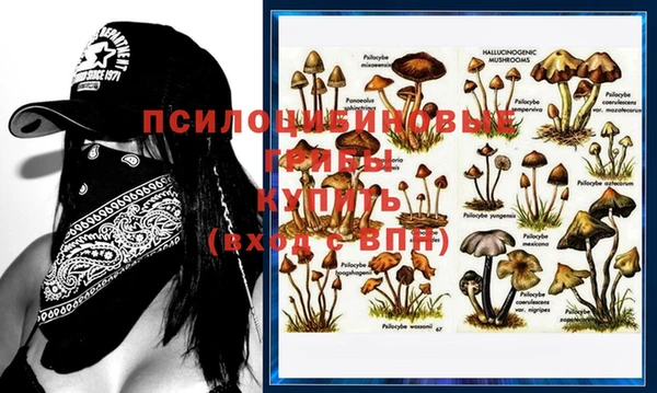 кокаин премиум Нязепетровск