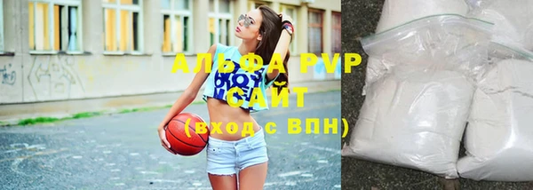 ГАЛЛЮЦИНОГЕННЫЕ ГРИБЫ Няндома