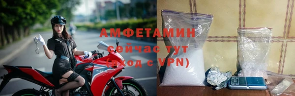 ГАЛЛЮЦИНОГЕННЫЕ ГРИБЫ Няндома