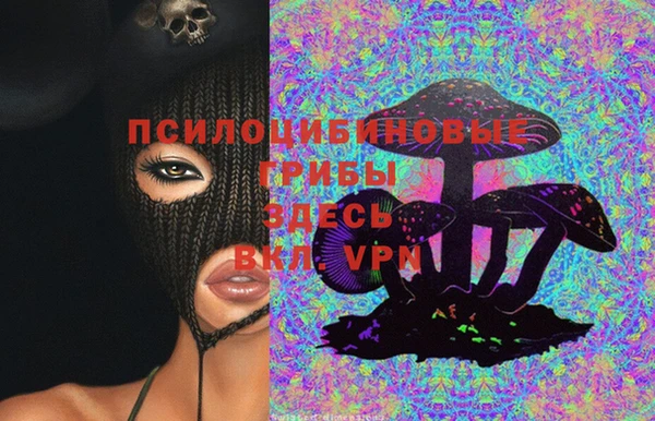 ГАЛЛЮЦИНОГЕННЫЕ ГРИБЫ Няндома
