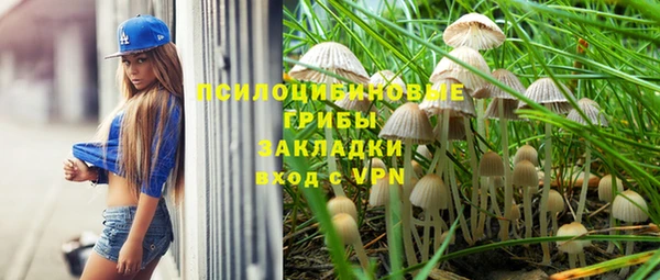 спайс Нягань