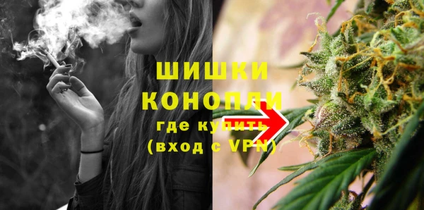 ГАЛЛЮЦИНОГЕННЫЕ ГРИБЫ Няндома