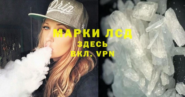 ГАЛЛЮЦИНОГЕННЫЕ ГРИБЫ Няндома