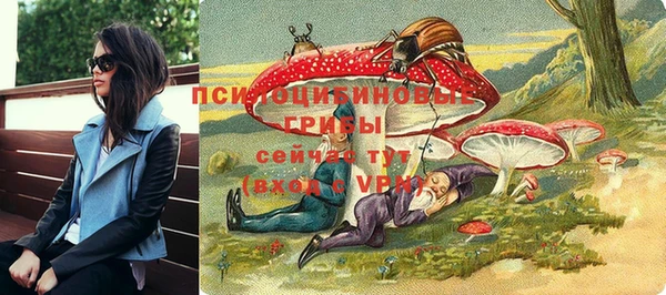 спайс Нягань