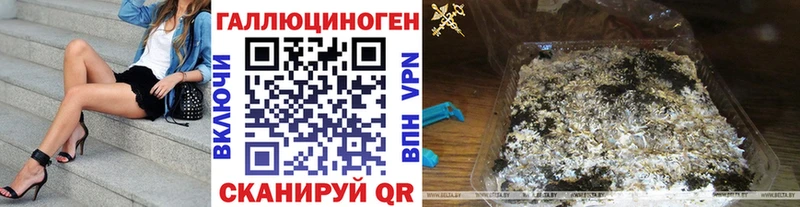 Псилоцибиновые грибы Psilocybe  Краснотурьинск 