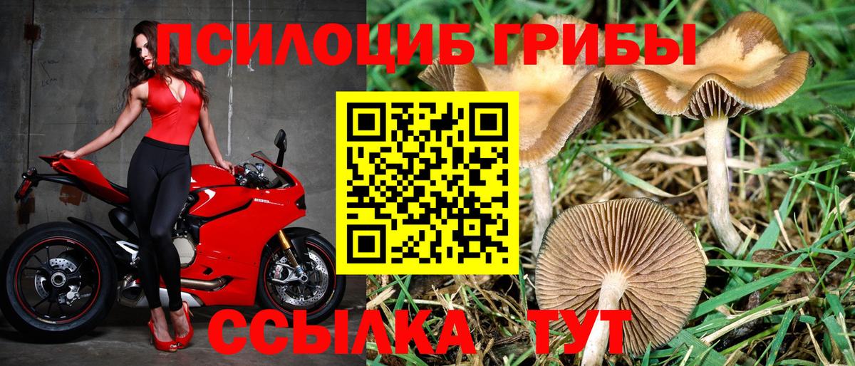 Краснотурьинск  Галлюциногенные грибы прущие грибы  Псилоцибиновые грибы прущие грибы  Вход с VPN 