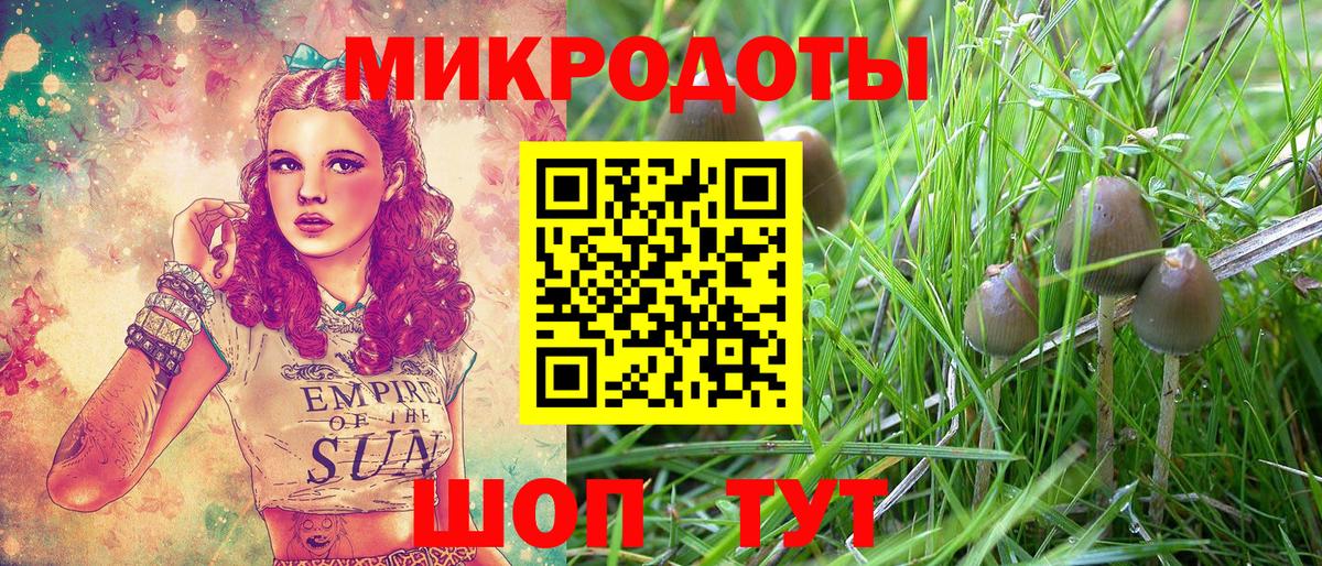Псилоцибиновые грибы MAGIC MUSHROOMS Краснотурьинск